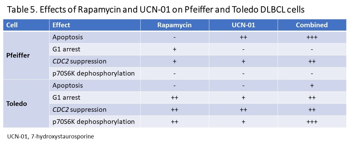 Effects of Rapamycin and UCN-01 on Pfeiffer and Toledo DLBCL cells