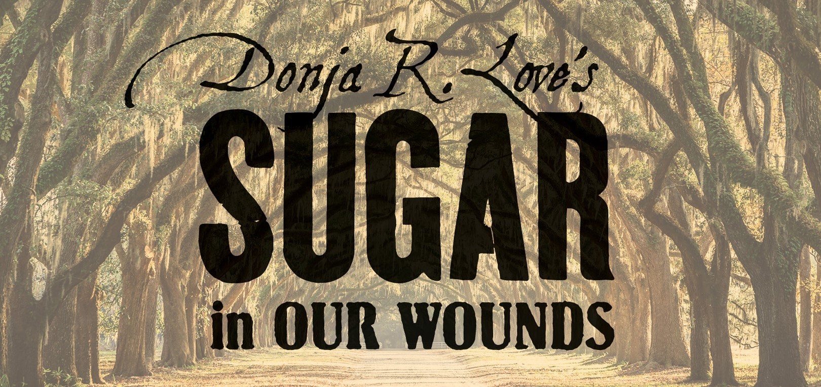 Performance Review: Sugar in Our Wounds